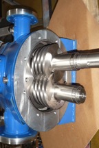 Imgmont12
